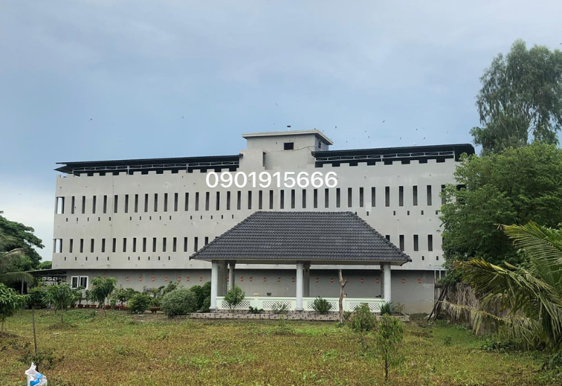 Nghề nuôi yến khai thác
