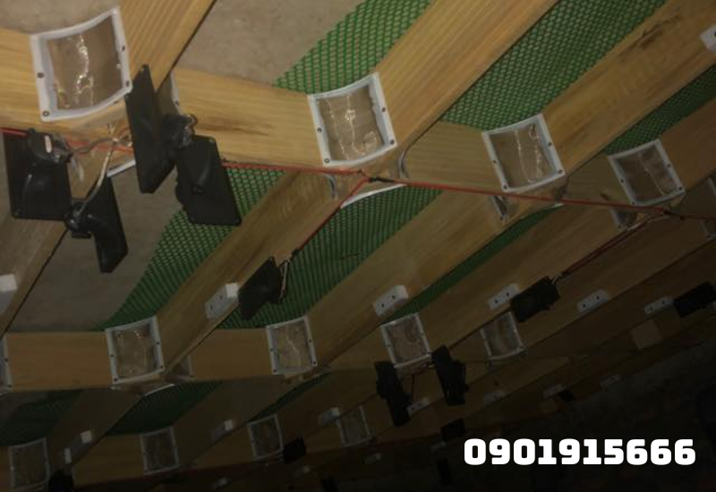 Kỹ thuật lắp đặt và điều chỉnh âm thanh nhà yến