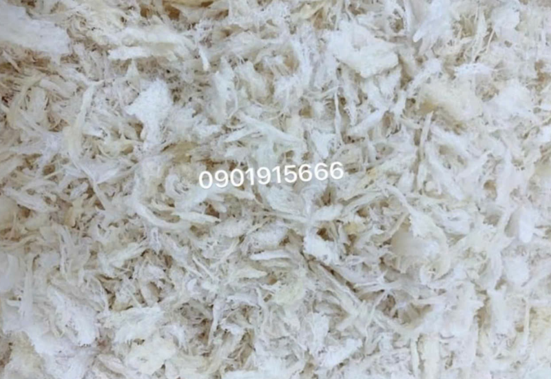 Vì sao nhiều người muốn nuôi Yến nhưng vẫn do dự?