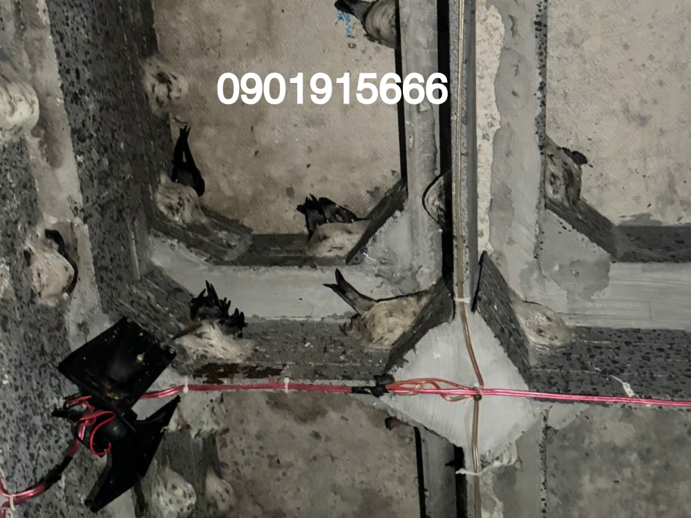 Giới thiệu chi tiết