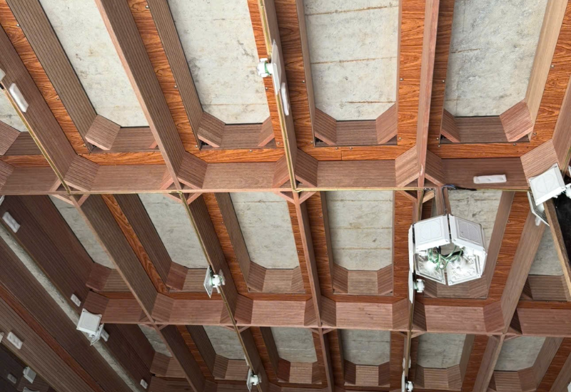 Loa dẫn dụ chim yến