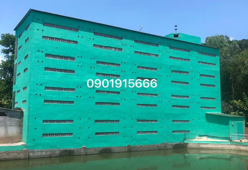 Nhà yến là gì? lợi ích của các thiết bị hỗ trợ khi nuôi yến