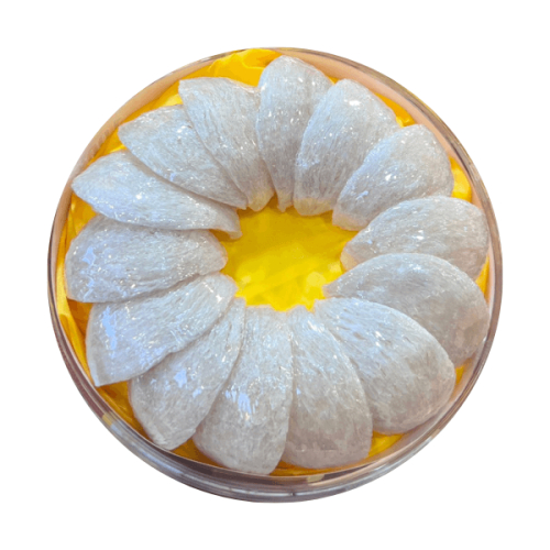 Tổ yến định hình A5