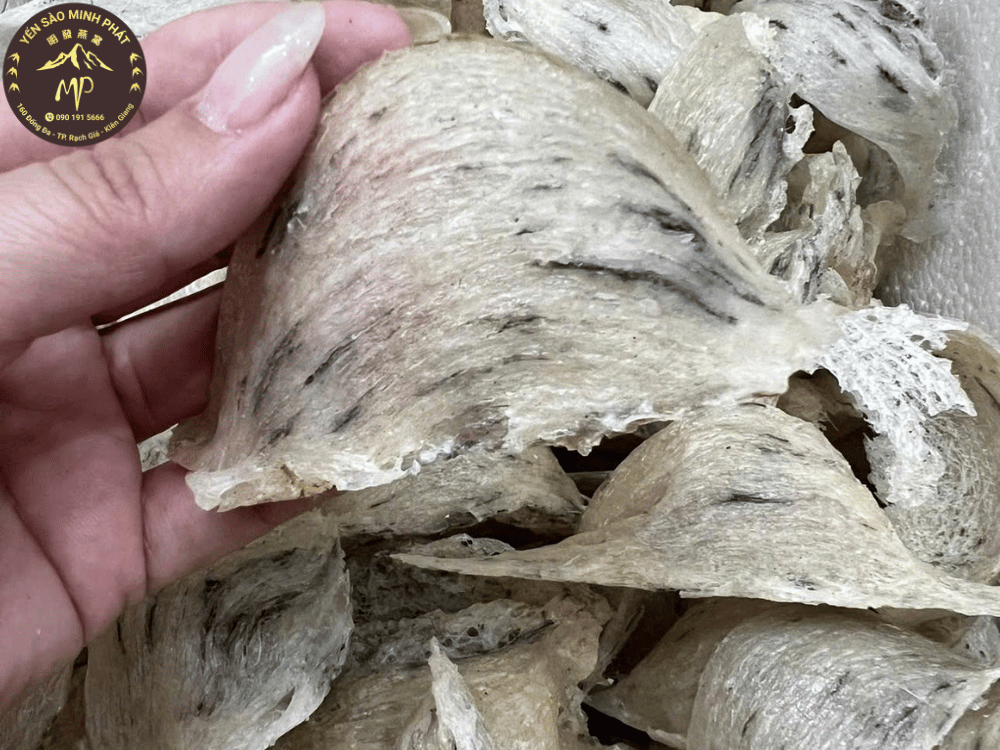 Vì sao yến thô được ưa chuộng dù chế biến kỳ công