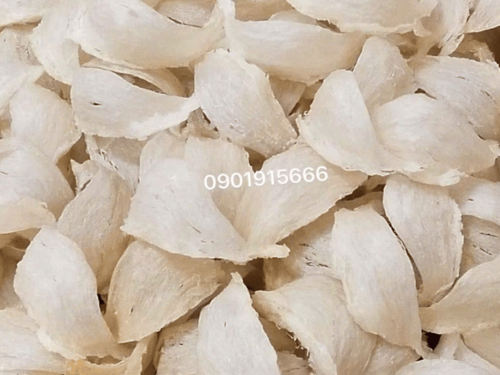 Tổ yến – Sang trọng, chuẩn Quà Tặng