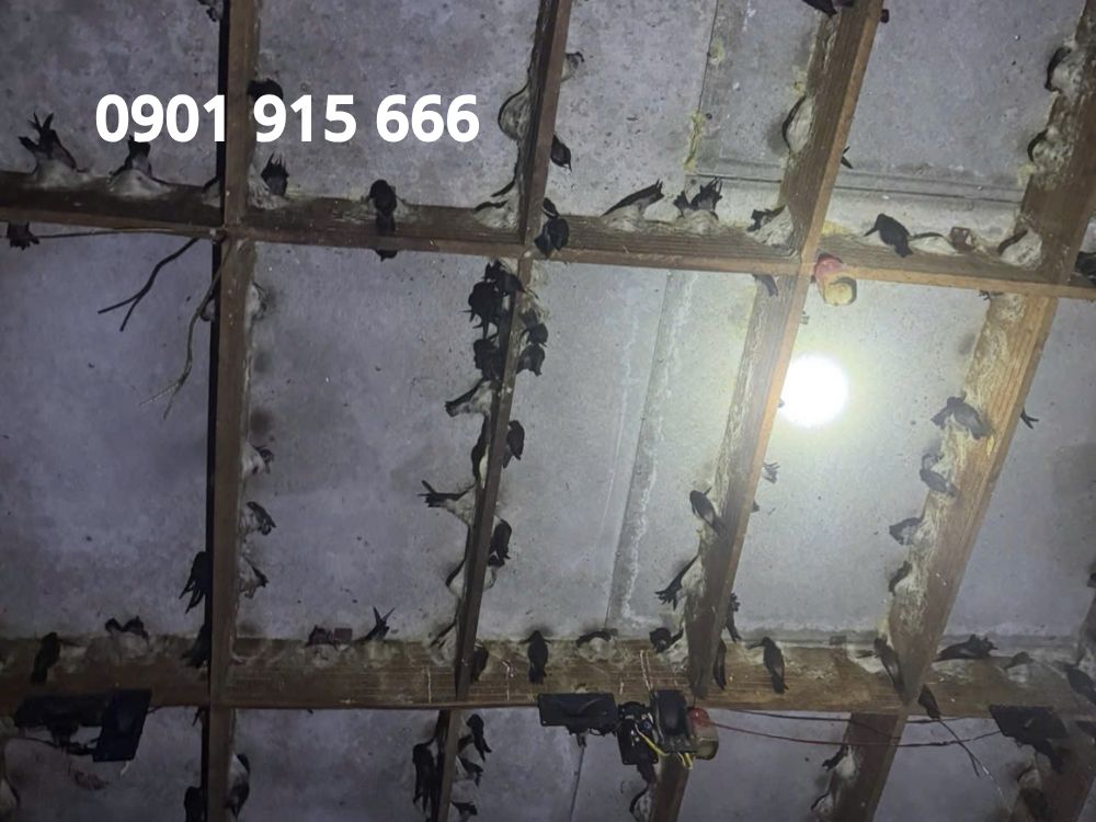 2. Tác Động Trực Tiếp Lên Cảm Giác Và Thân Mật