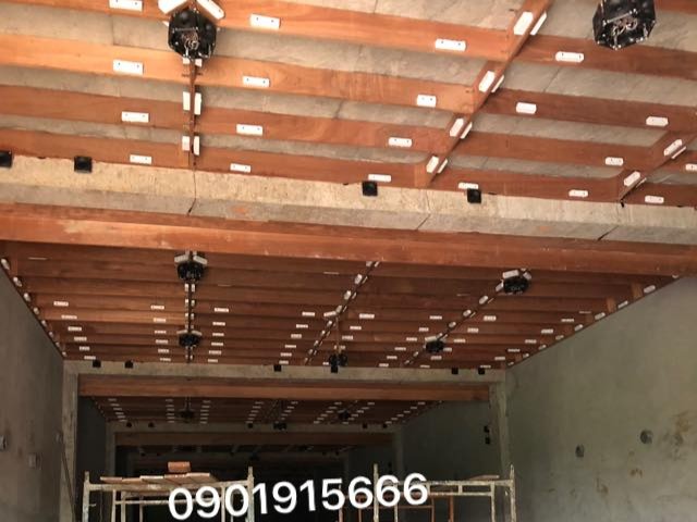 Âm thanh – "Ngôn ngữ" giao tiếp của chim yến