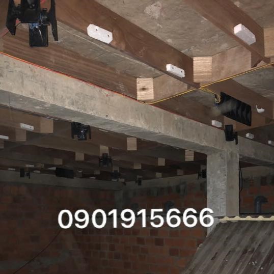 Những Yếu Tố Cản Trở Chim Yến Trở Về Nhà Mới Mà Bạn Cần Biết