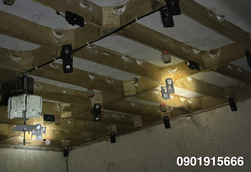 Khi chim yến có dấu hiệu bỏ đi hoặc giảm đàn