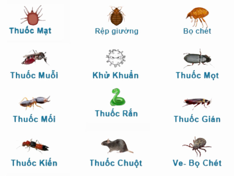 Kẻ thù của chim yến