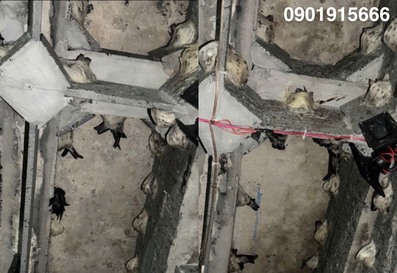 Gói 2: nhận thi công lắp đặt kỹ thuật