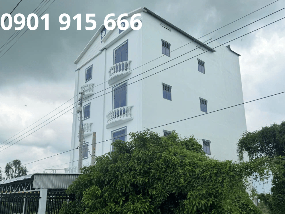 Những nguyên nhân khiến nhà yến của bạn chậm chim