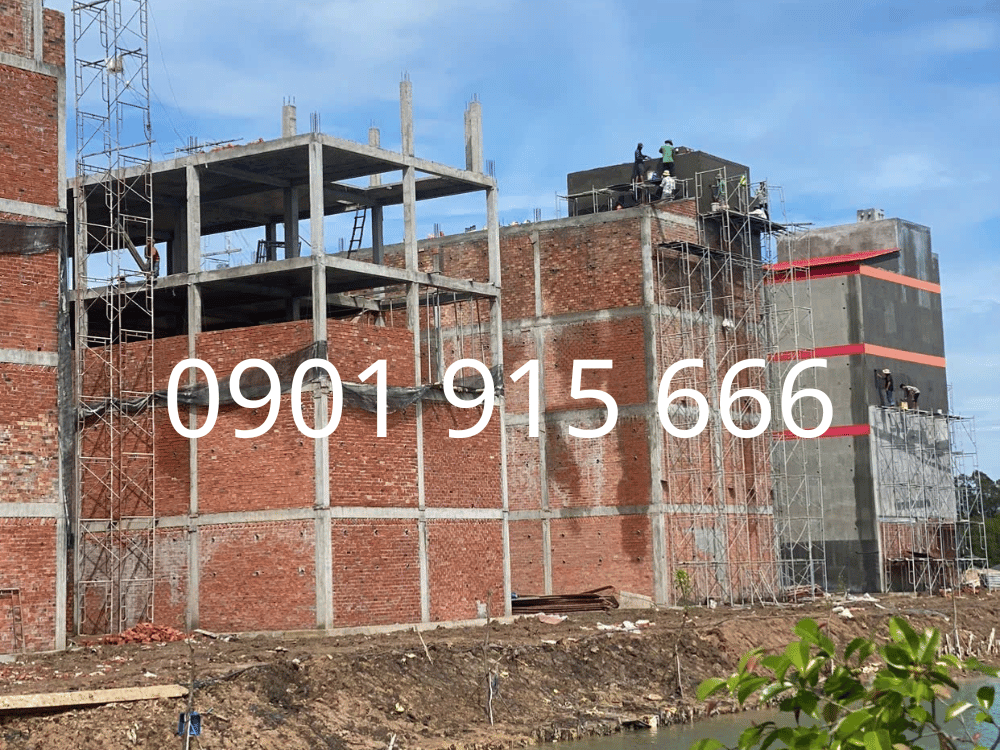 Thời điểm nào tốt nhất xây dựng và cải tạo nhà yến?