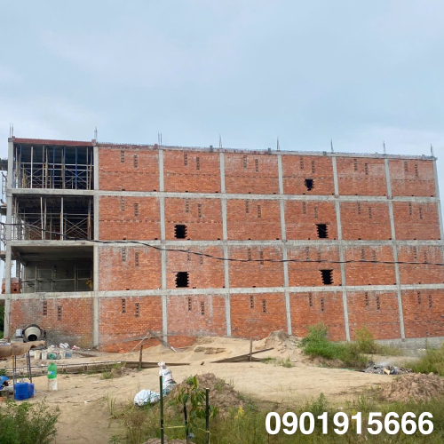 Lợi Ích Của Nuôi Yến? Tìm Hiều Về Nuôi Yến?