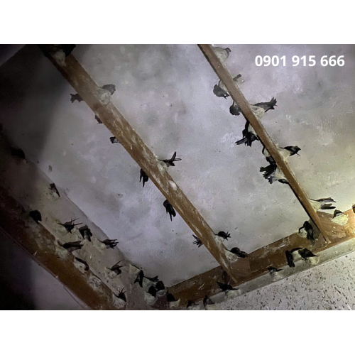 Gói 1: Nhận xây dựng và lắp đặt thiết bị trọn gói