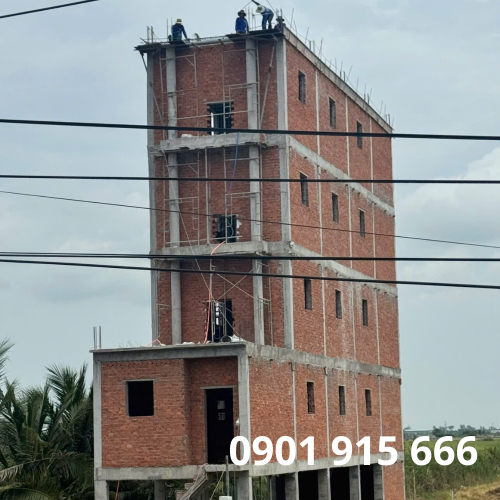 Nhà Yến Thành Công Đến Từ Chiến Lược Hay Sự May Mắn?