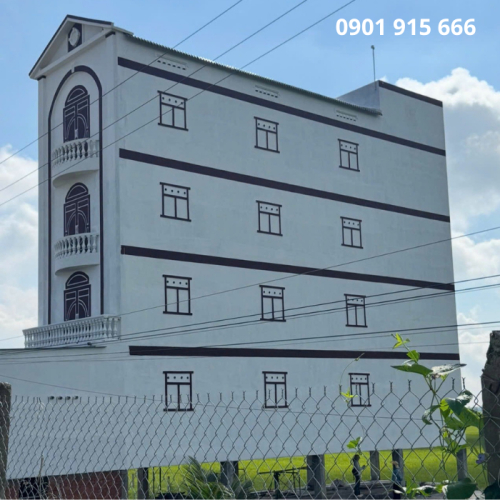 Khi Nào Nên Thu Hoạch Tổ Yến Để Không Ảnh Hưởng Đến Sinh Sản?