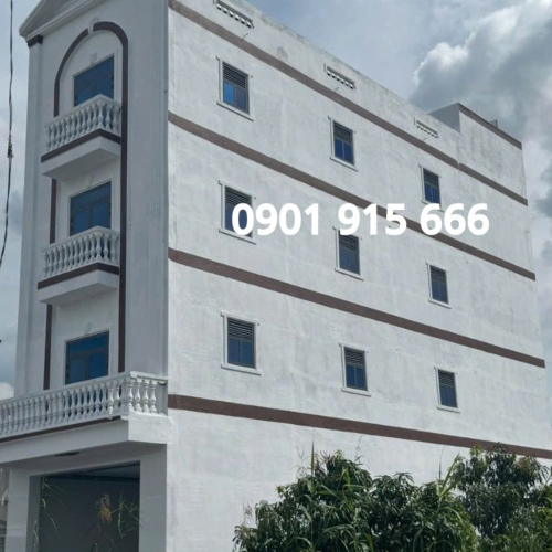 Nhà Nuôi Yến – Có Nên Đầu Tư? Phân Tích Chi Phí Và Hiệu Quả