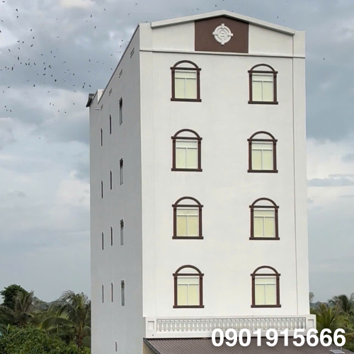 Cấu Tạo Nhà Yến Giúp Nuôi Chim Yến Hiệu Quả