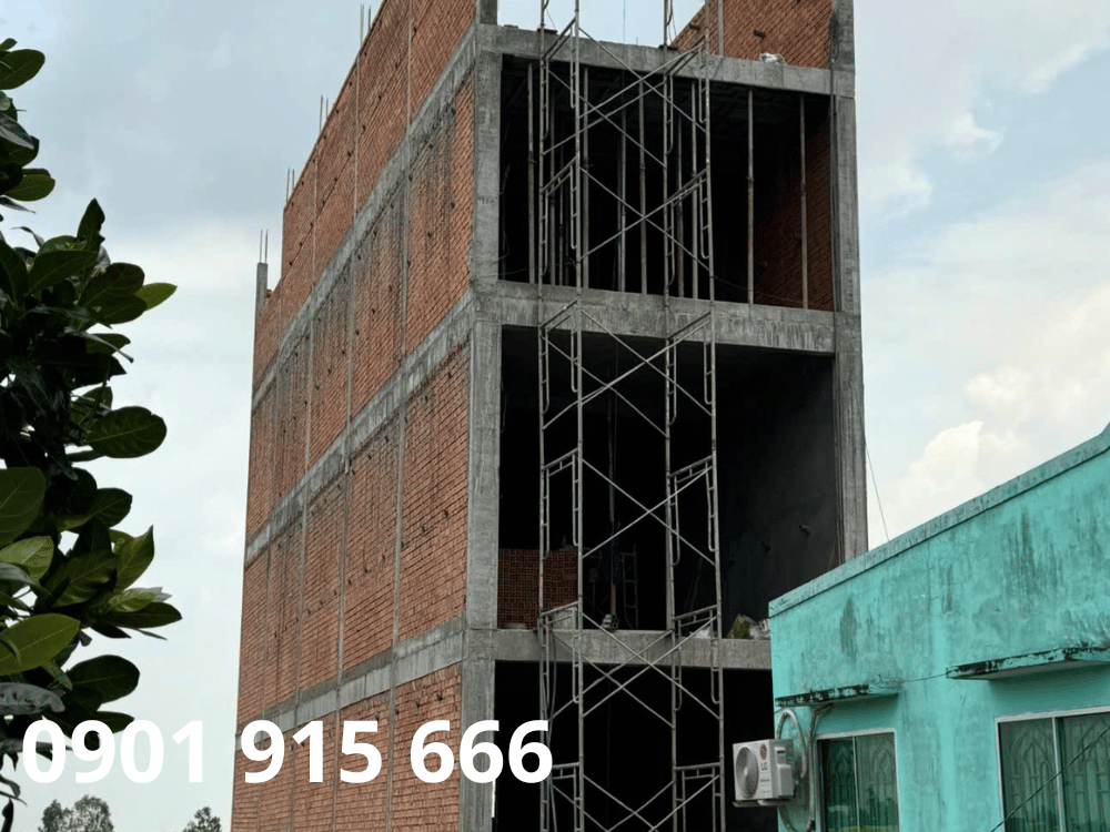 Gần khu vực sinh sống tự nhiên của chim yến