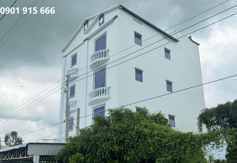 Lợi ích khi thuê đơn vị vận hành nhà yến chuyên nghiệp