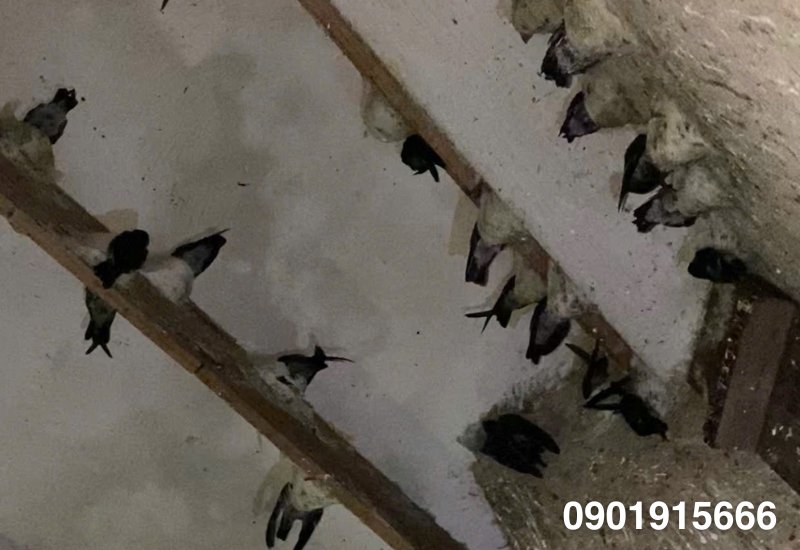 Cấu hình ánh sáng