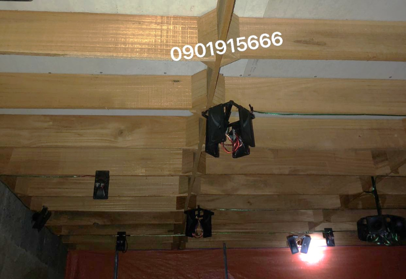 Tác động đến hành vi của chim yến