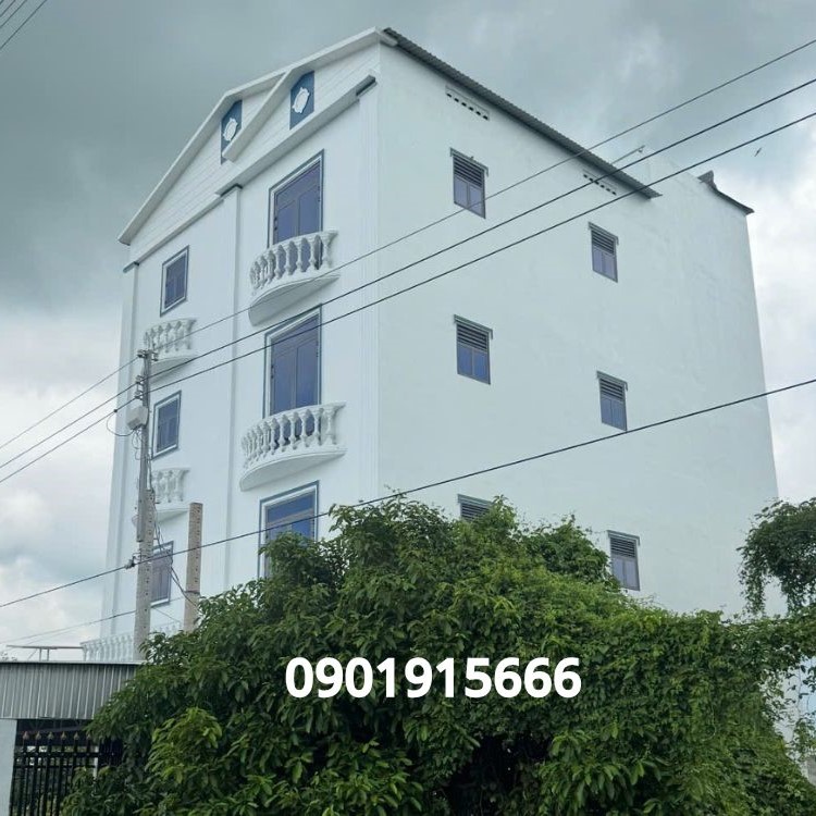 Các Kỹ Thuật Và Công Nhệ Ánh Sáng Nuôi Yến