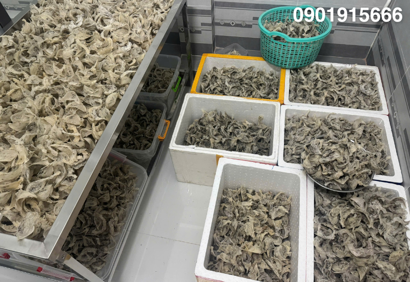 Yến Sào Minh Phát – Giải pháp vận hành nhà yến toàn diện