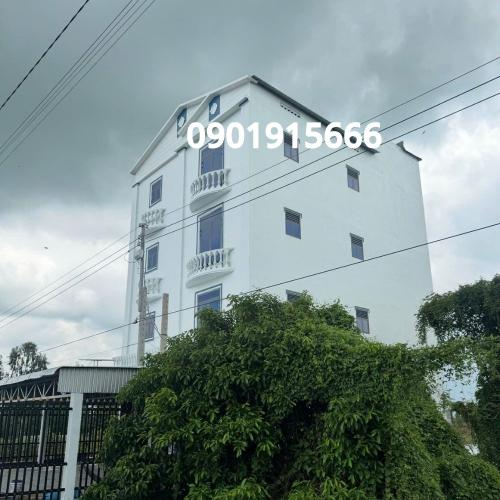 Vì sao mô hình nhà yến ngày càng được nhiều người lựa chọn?