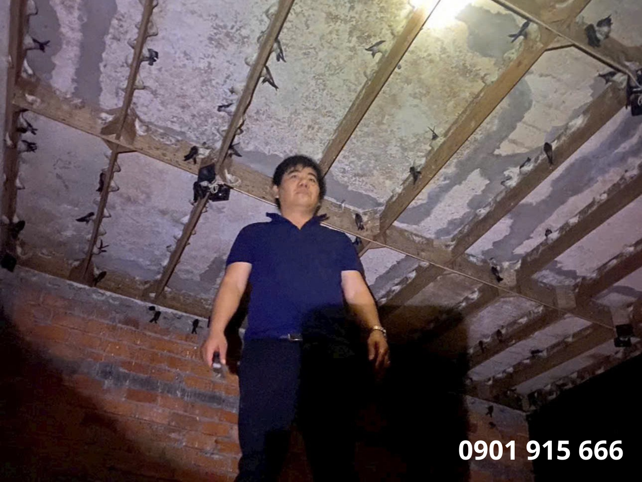 Năng lực và chuyên môn