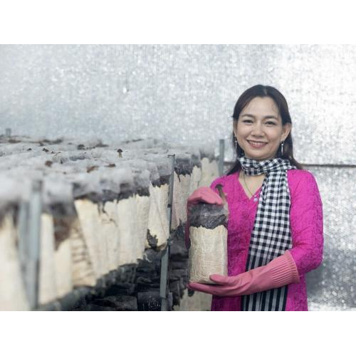2. Ứng Dụng Mô Hình Tuần Hoàn Trong Trồng Nấm Mối Tại Hiền Nương Farm