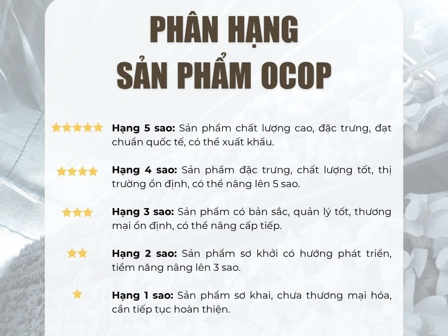 Phân hạng sản phẩm OCOP