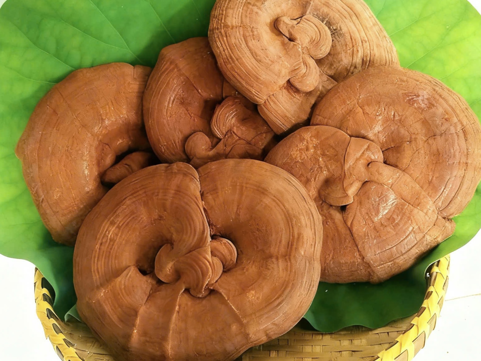 Điểm khác biệt của Linh Chi Tai To tại Hiền Nương Farm: