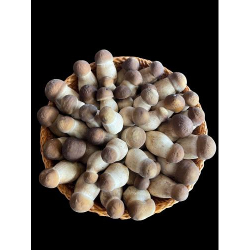 Ăn Nấm Mối Có Tác Dụng Gì? Công Dụng, Dinh Dưỡng Và Cách Dùng Đúng