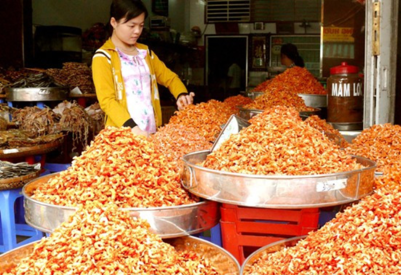 Giới thiệu