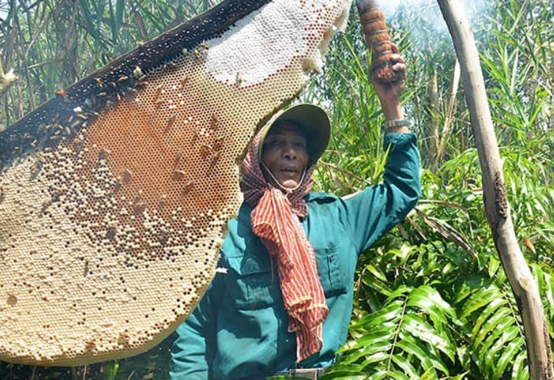Giới thiệu