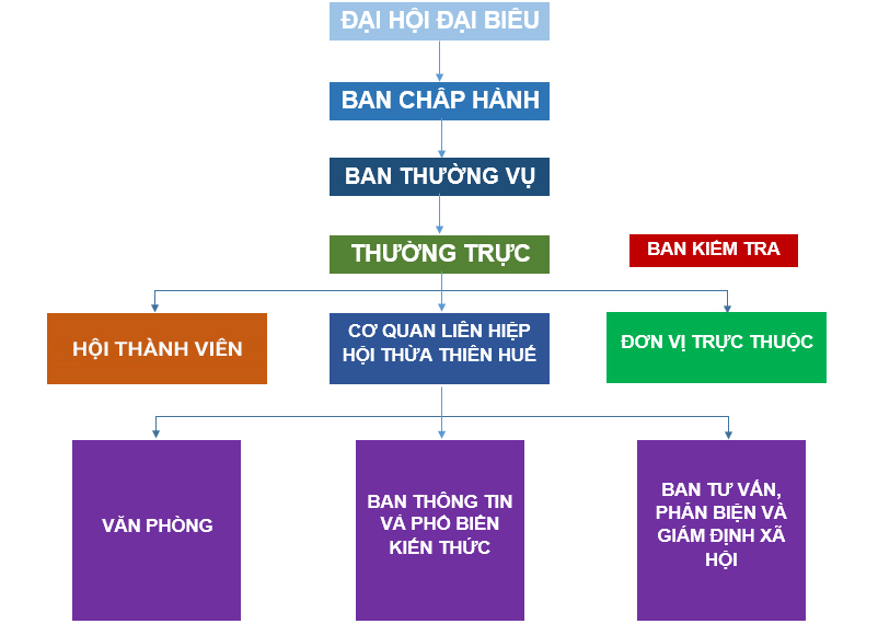 Cơ cấu tổ chức