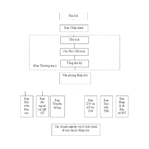 Sơ đồ tổ chức Hiệp hội