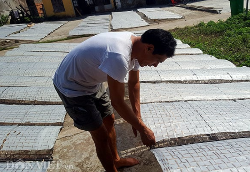 Lịch sử hình thành và phát triển