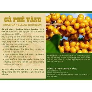 1. Tầm nhìn