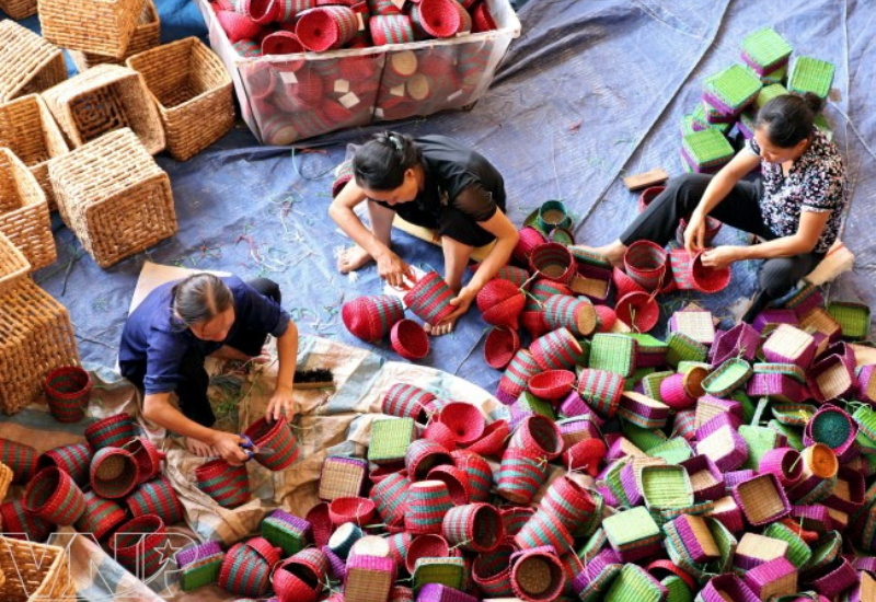 Lịch sử và phát triển