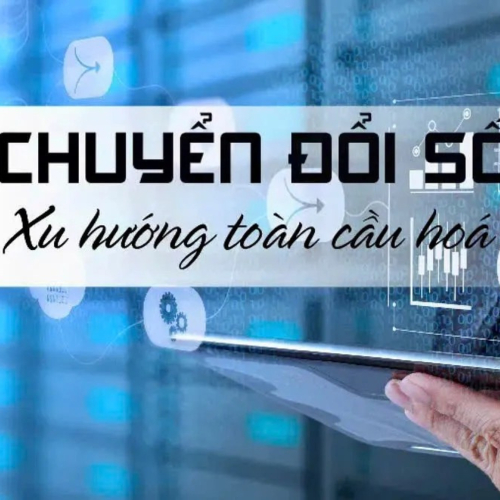 Ninh Bình Tăng Tốc Chuyển Đổi Số, Lan Tỏa Phong Trào Đổi Mới Sáng Tạo