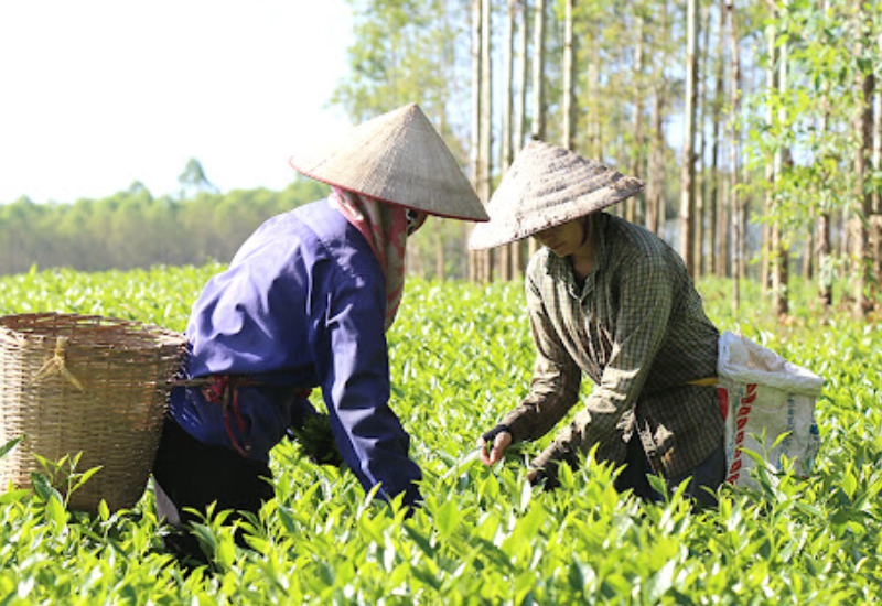 Trải nghiệm khi ghé thăm