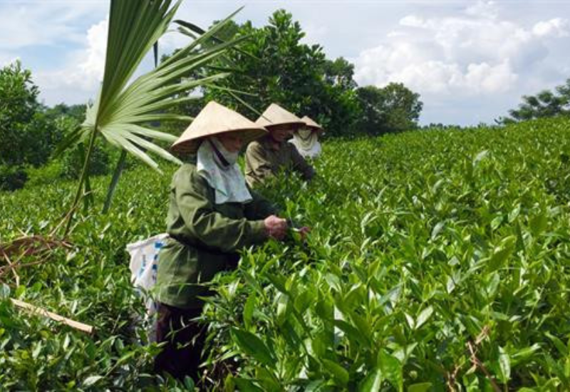Giới thiệu