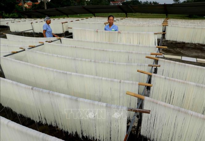 Lịch sử hình thành và phát triển