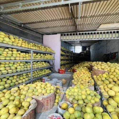 Phú Thọ Hỗ Trợ Doanh Nghiệp Nâng Cao Chất Lượng Sản Phẩm, Chinh Phục Thị Trường Quốc Tế