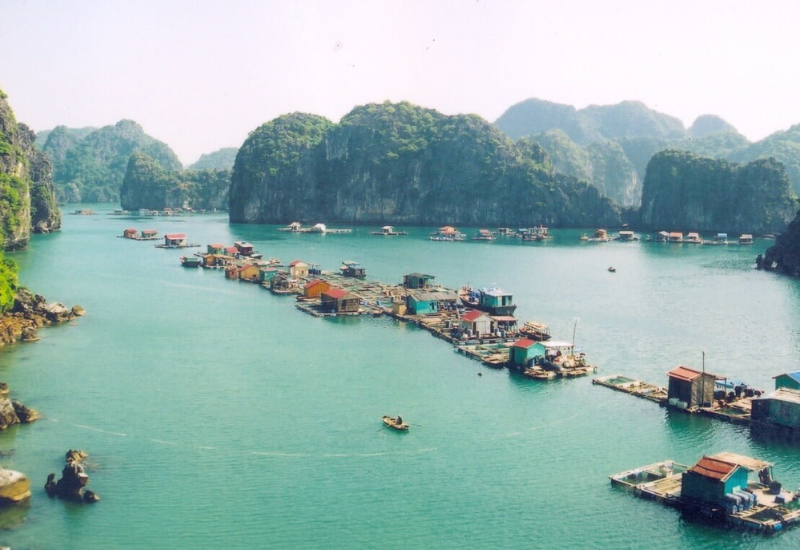 Giới thiệu