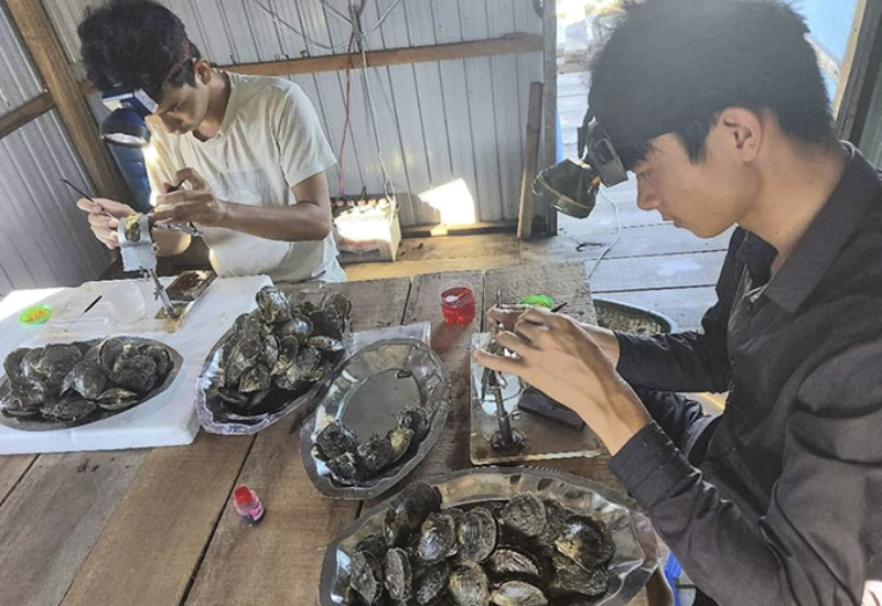 Lịch sử và phát triển