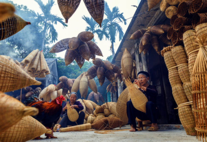 Lịch sử và phát triển